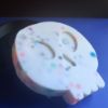 Picture of Skull