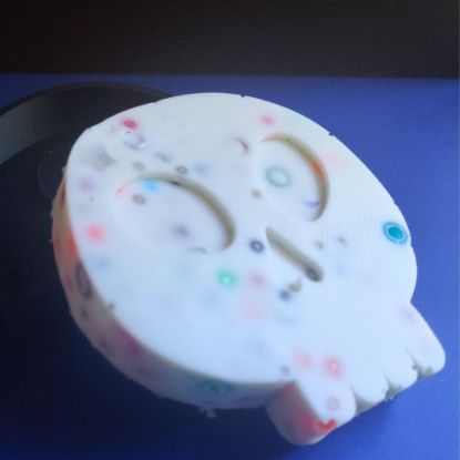 Picture of Skull