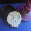 Picture of Skull