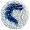 Picture of Blue Dragon